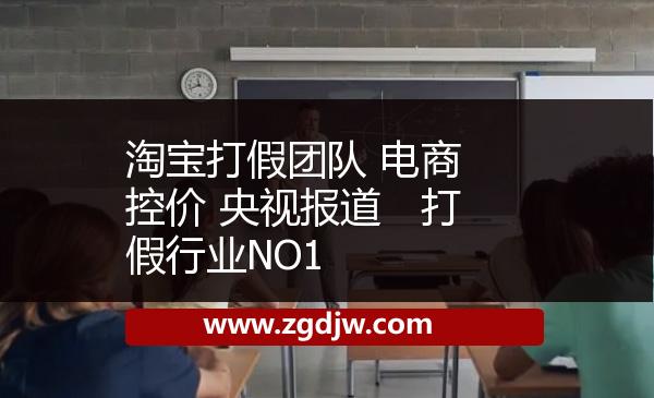淘寶打假團隊 電商控價 央視報道　打假行業(yè)NO1 