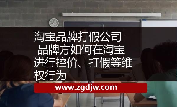 淘寶品牌打假公司  品牌方如何在淘寶進行控價、打假等維權(quán)行為 