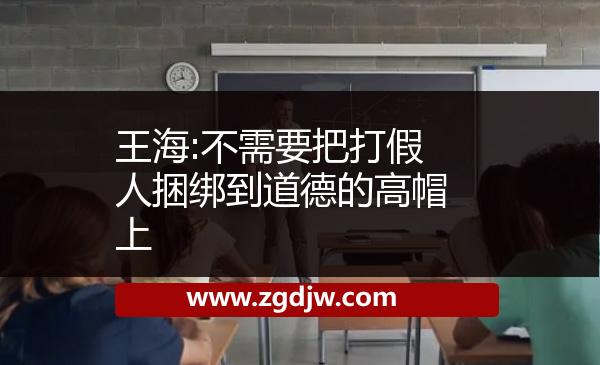 王海:不需要把打假人捆綁到道德的高帽上 