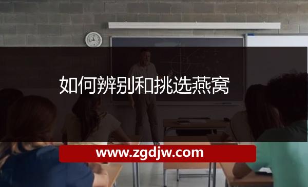 如何辨別和挑選燕窩 