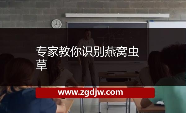 專家教你識(shí)別燕窩蟲(chóng)草 