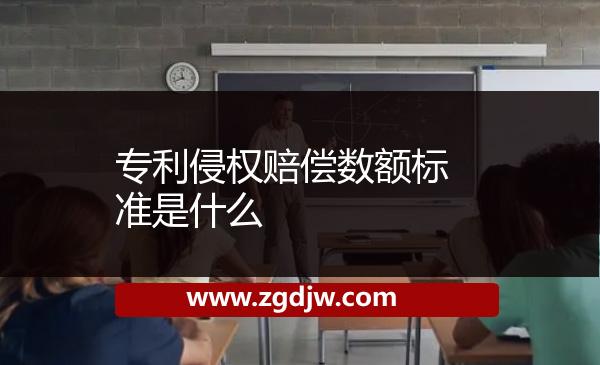 專利侵權賠償數(shù)額標準是什么 