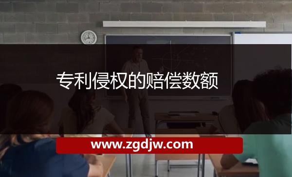 專利侵權的賠償數(shù)額 
