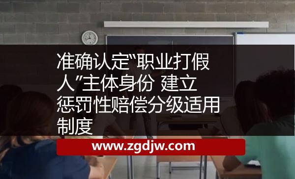 準確認定“職業(yè)打假人”主體身份 建立懲罰性賠償分級適用制度 